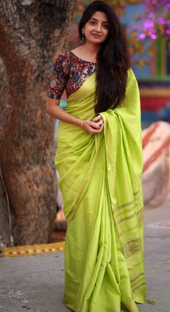Actress Poonam Kaur Stills In Transparent Green Saree 4